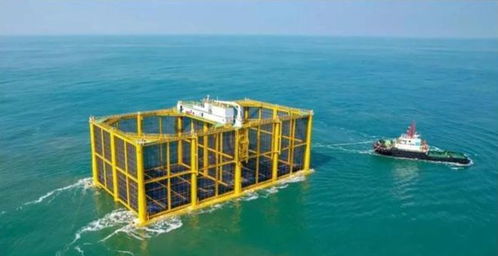 国内首座近海海水三文鱼养殖网箱交付使用